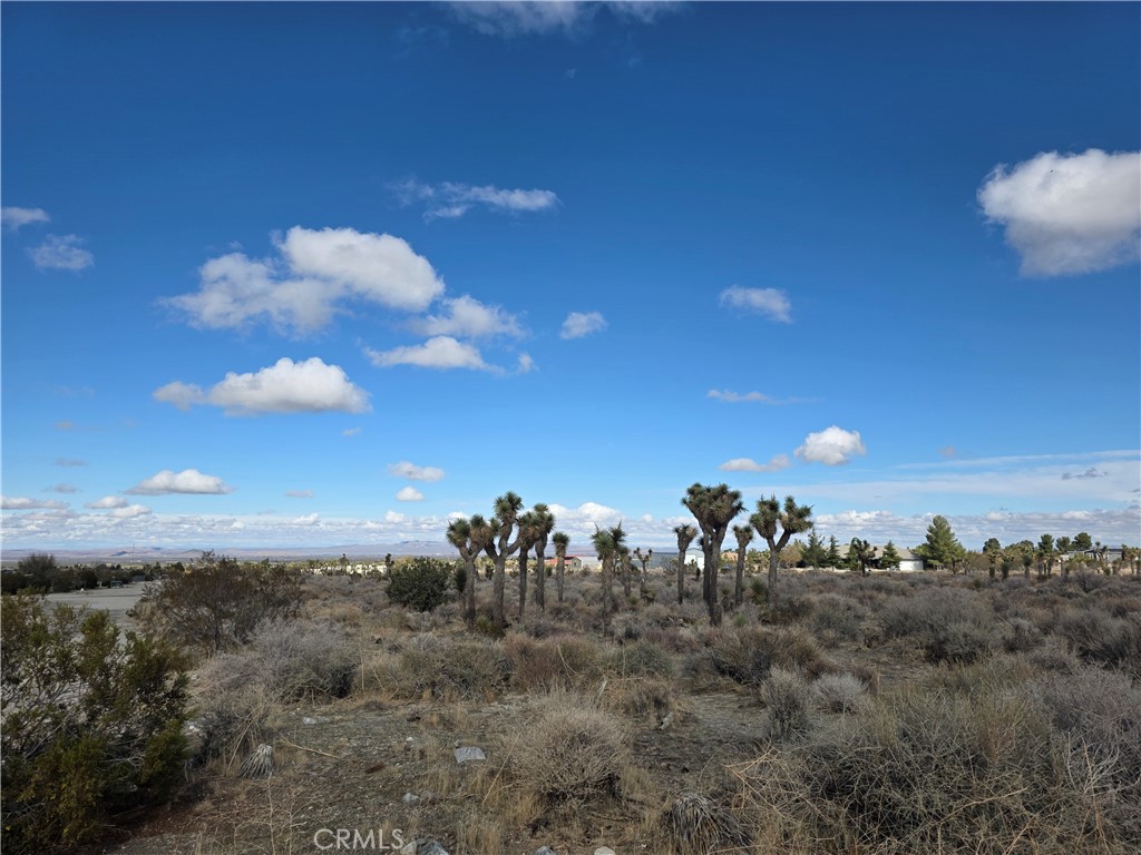 1 Goss Road Pinon Hills, CA 92372 - Photo 2 of 7 a view of a city