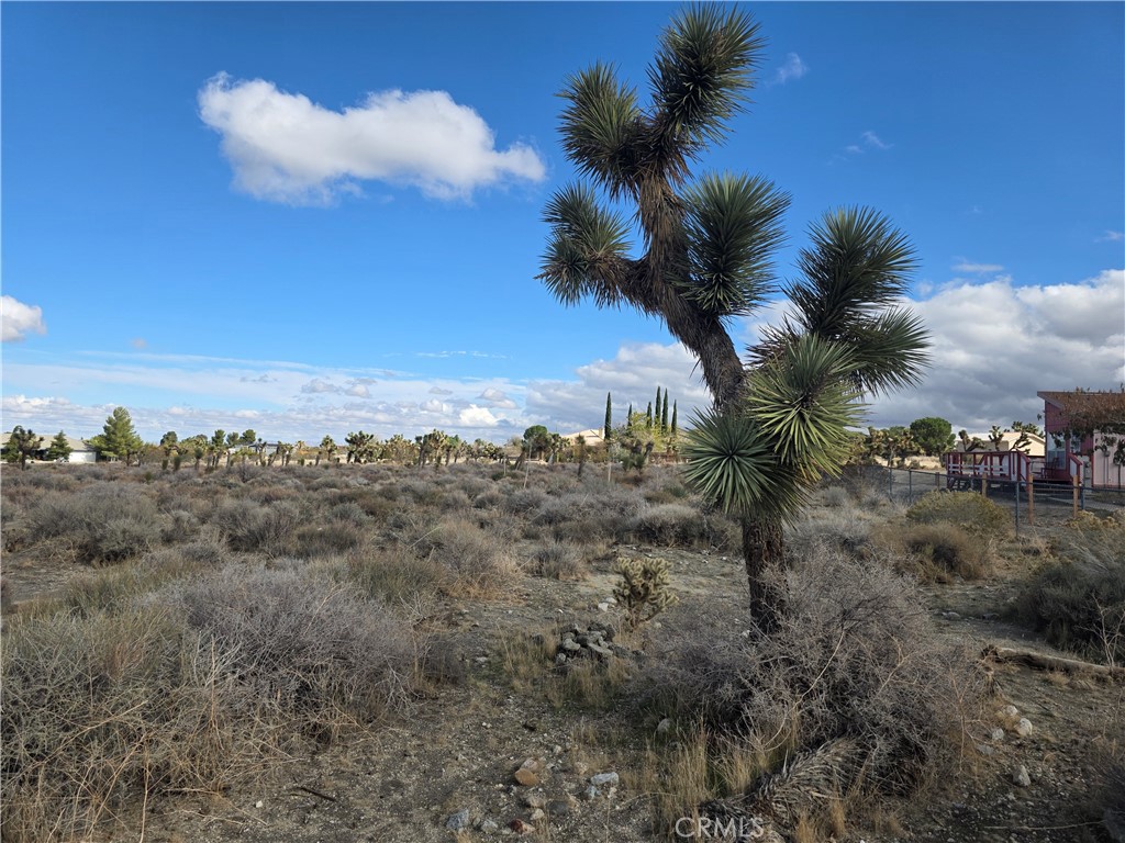 1 Goss Road Pinon Hills, CA 92372 - Photo 3 of 7 a view of a dry yard with wooden fence