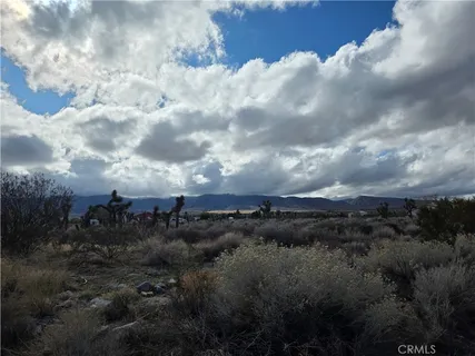 a view of a lot of trees