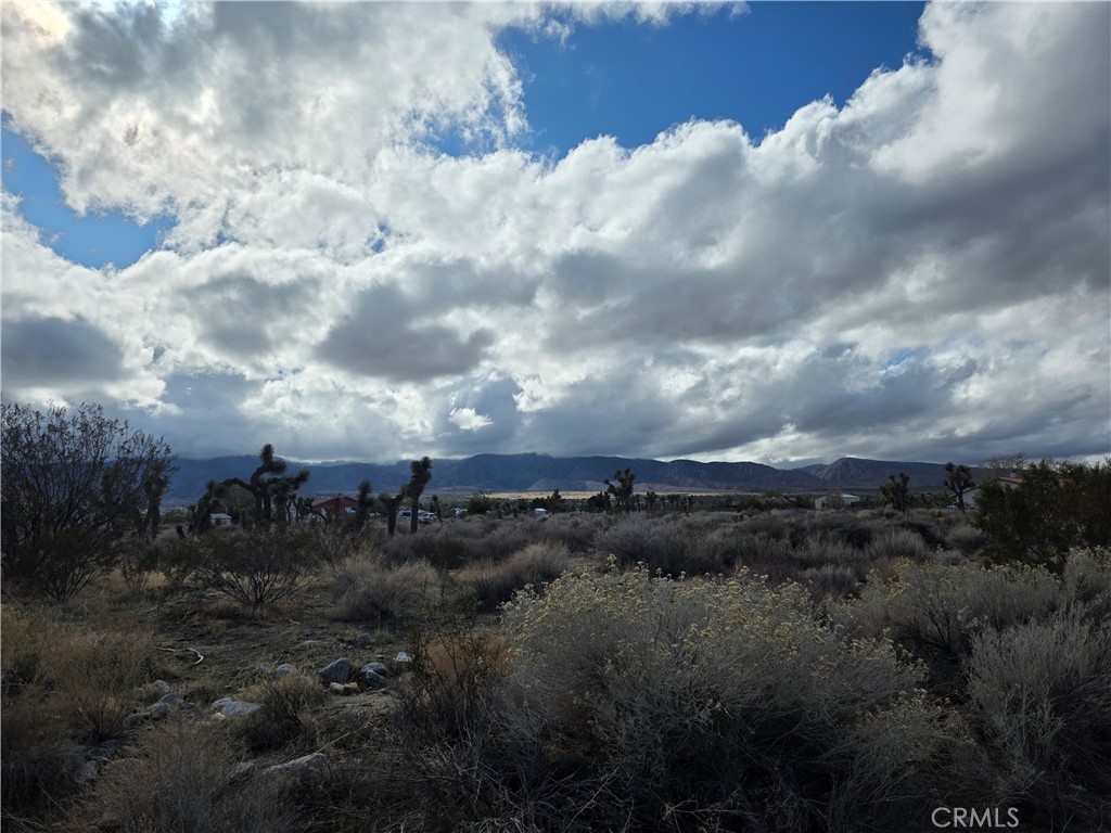1 Goss Road Pinon Hills, CA 92372 - Photo 6 of 7 a view of a lot of trees