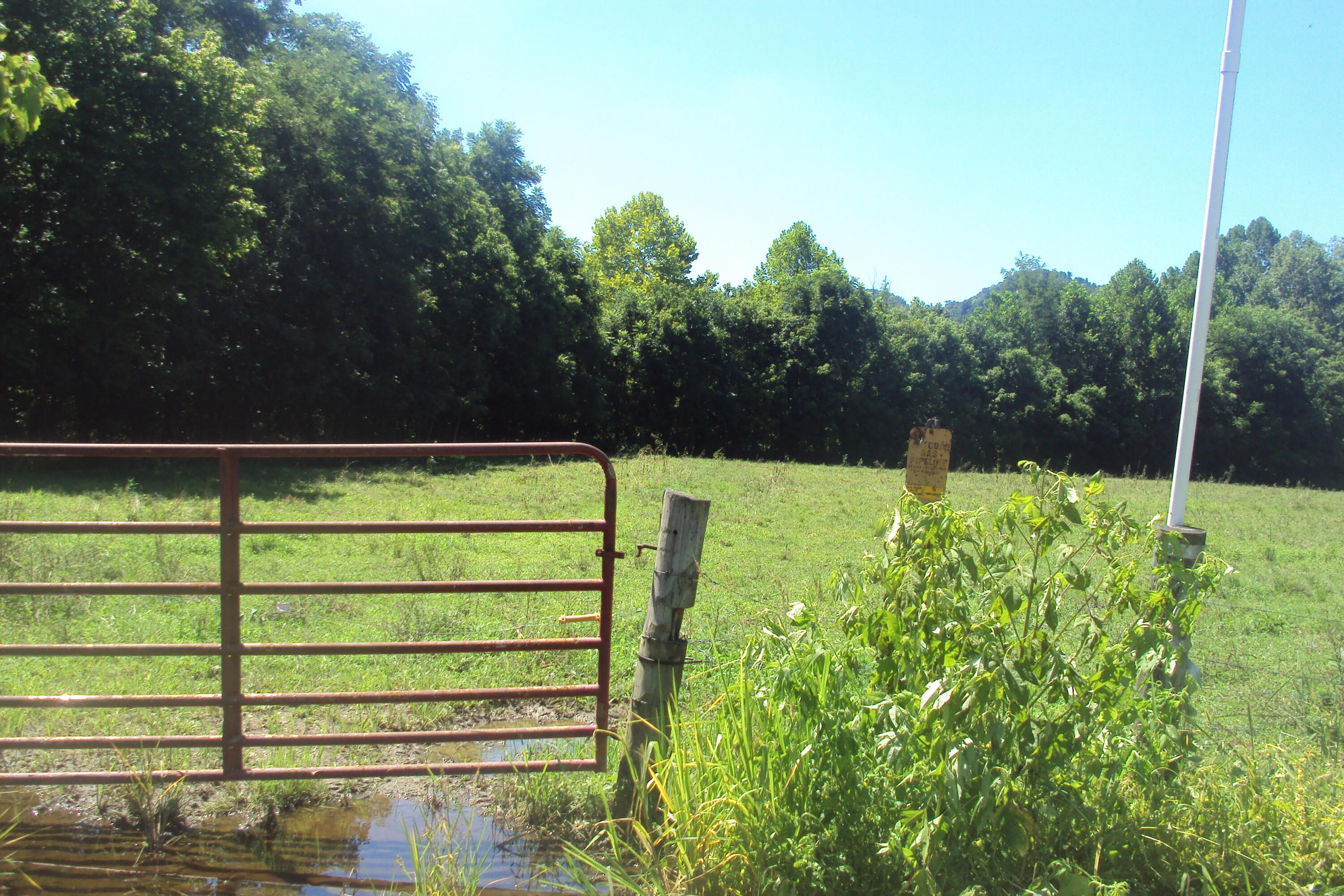 1 Red Lick Road Irvine, KY 40336 - Photo 30 of 48 DSC03967