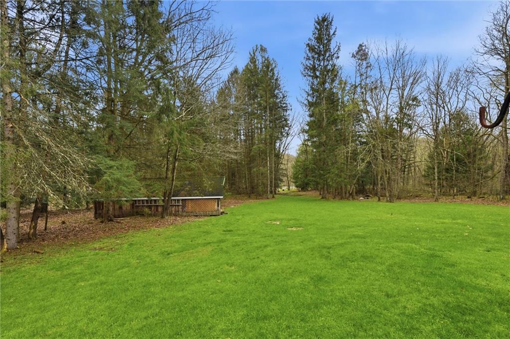 7092 Mercer Road Polk, PA 16342 - Photo 43 of 50 a view of a park with large trees