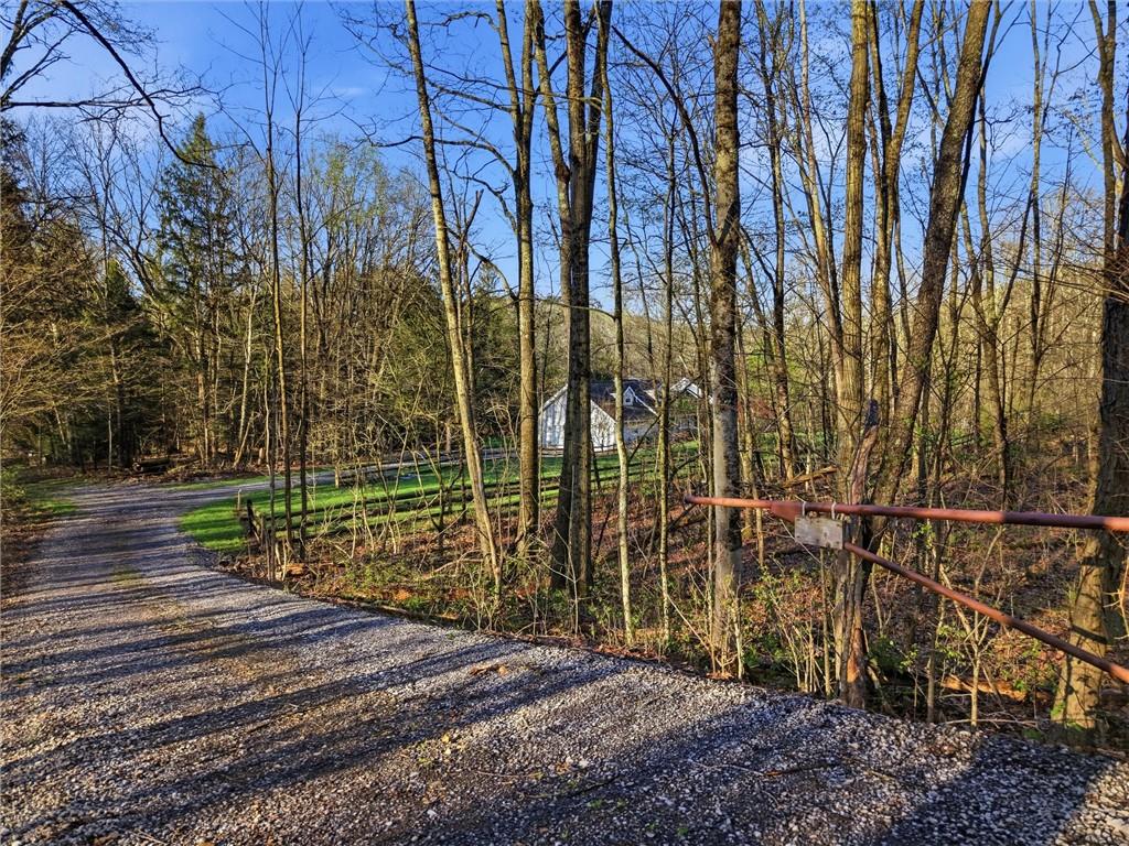 7092 Mercer Road Polk, PA 16342 - Photo 45 of 50 a view of a park with large trees
