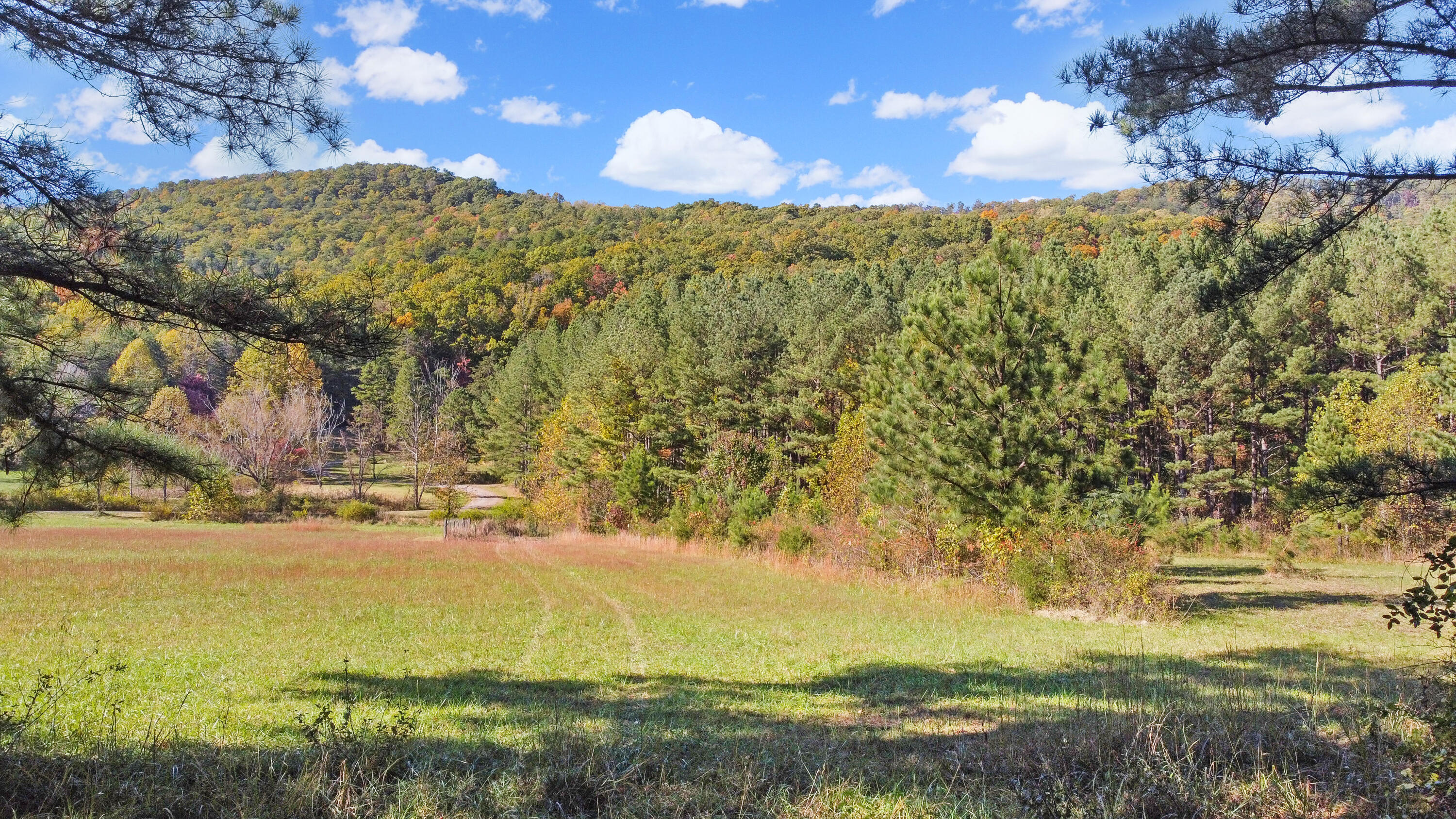 4339 Duck Pond Road Salem, VA 24153 - Photo 54 of 70 DJI_0271