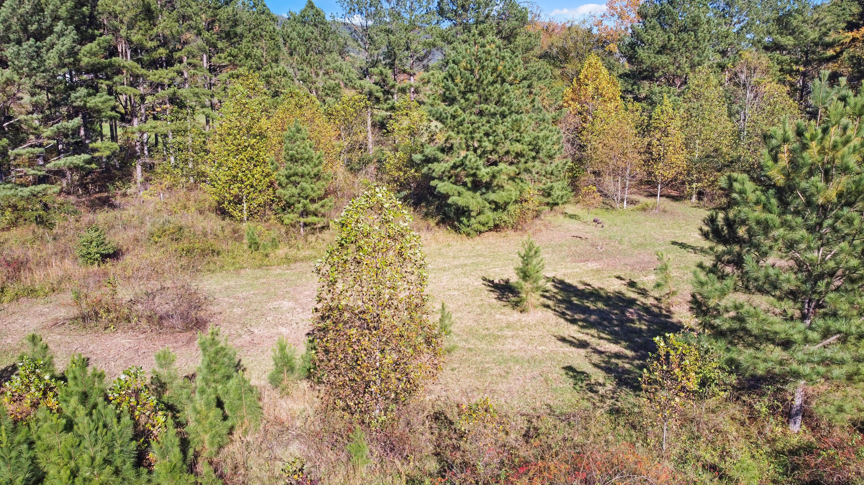 4339 Duck Pond Road Salem, VA 24153 - Photo 60 of 70 DJI_0274