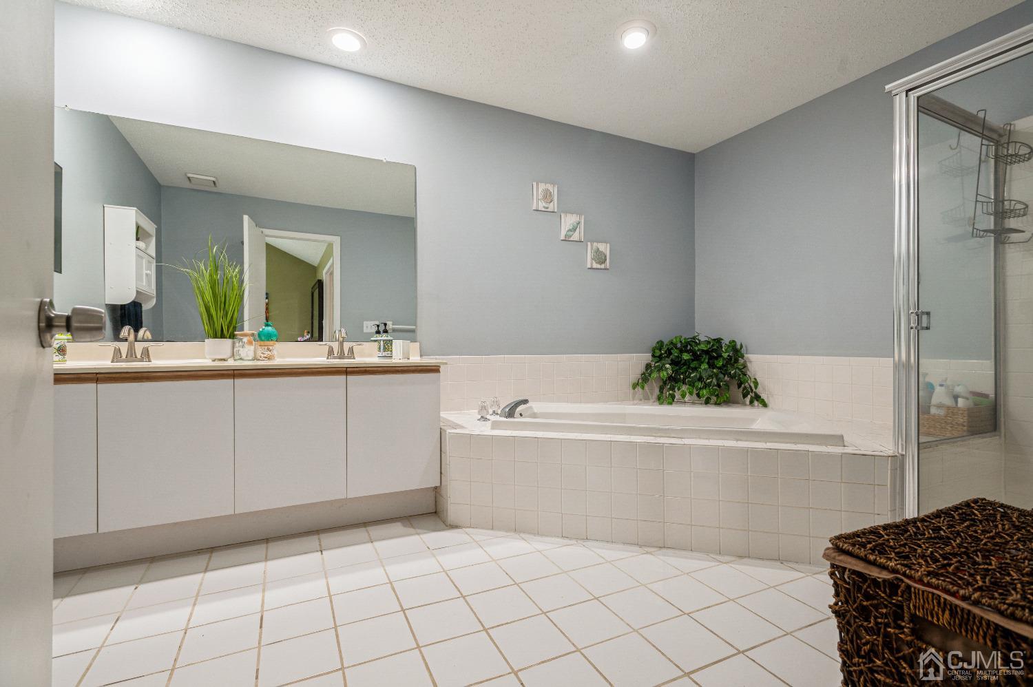 409 Draco Road Piscataway, NJ 08854 - Photo 18 of 28 a bathroom with a bathtub sink and mirror