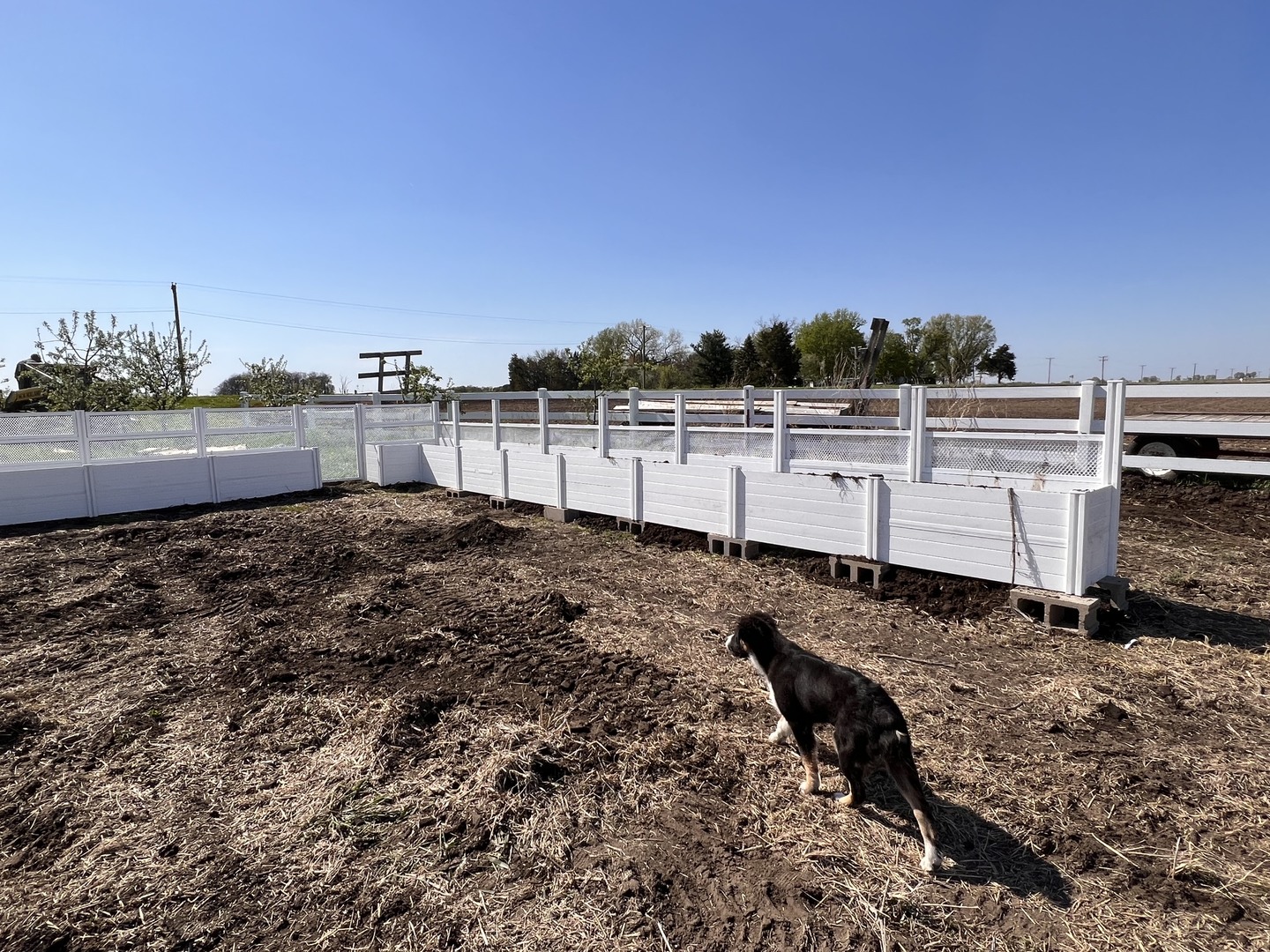 1801 Lee Center Road Amboy, IL 61310 - Photo 53 of 54 a view of a backyard of the house