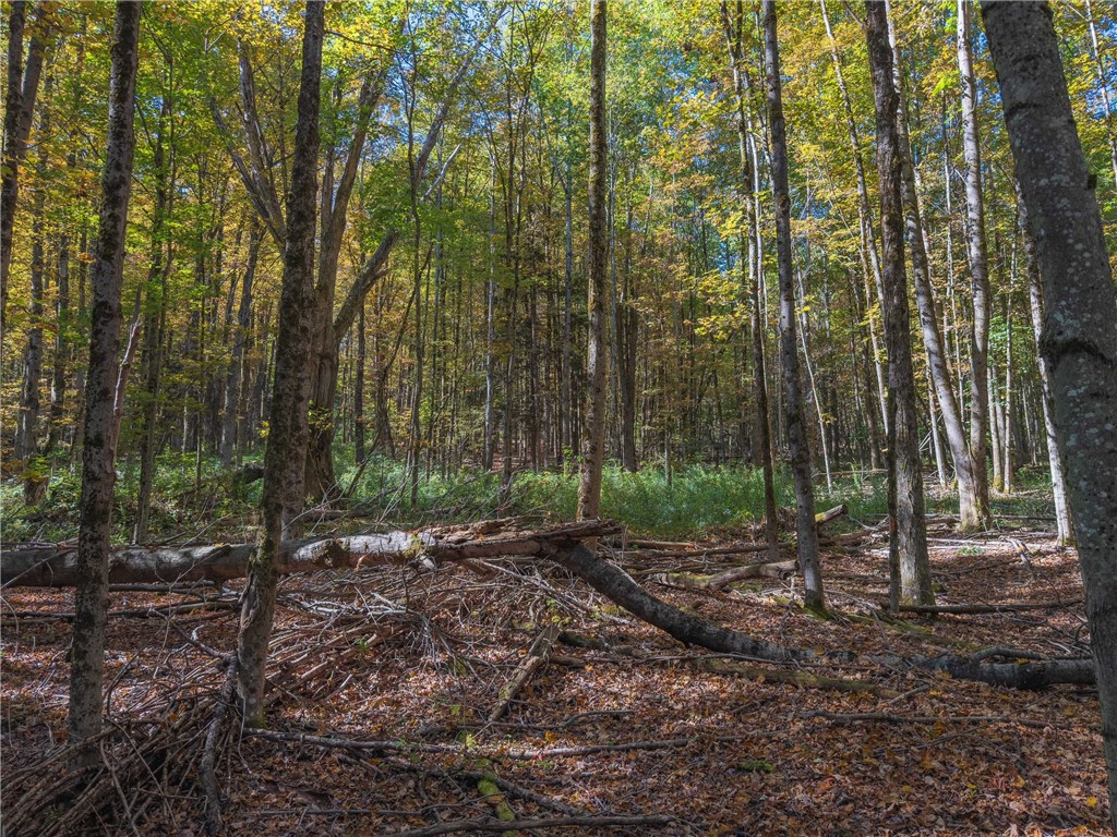 Reservoir Hill Road Norwich, NY 13815 - Photo 21 of 50