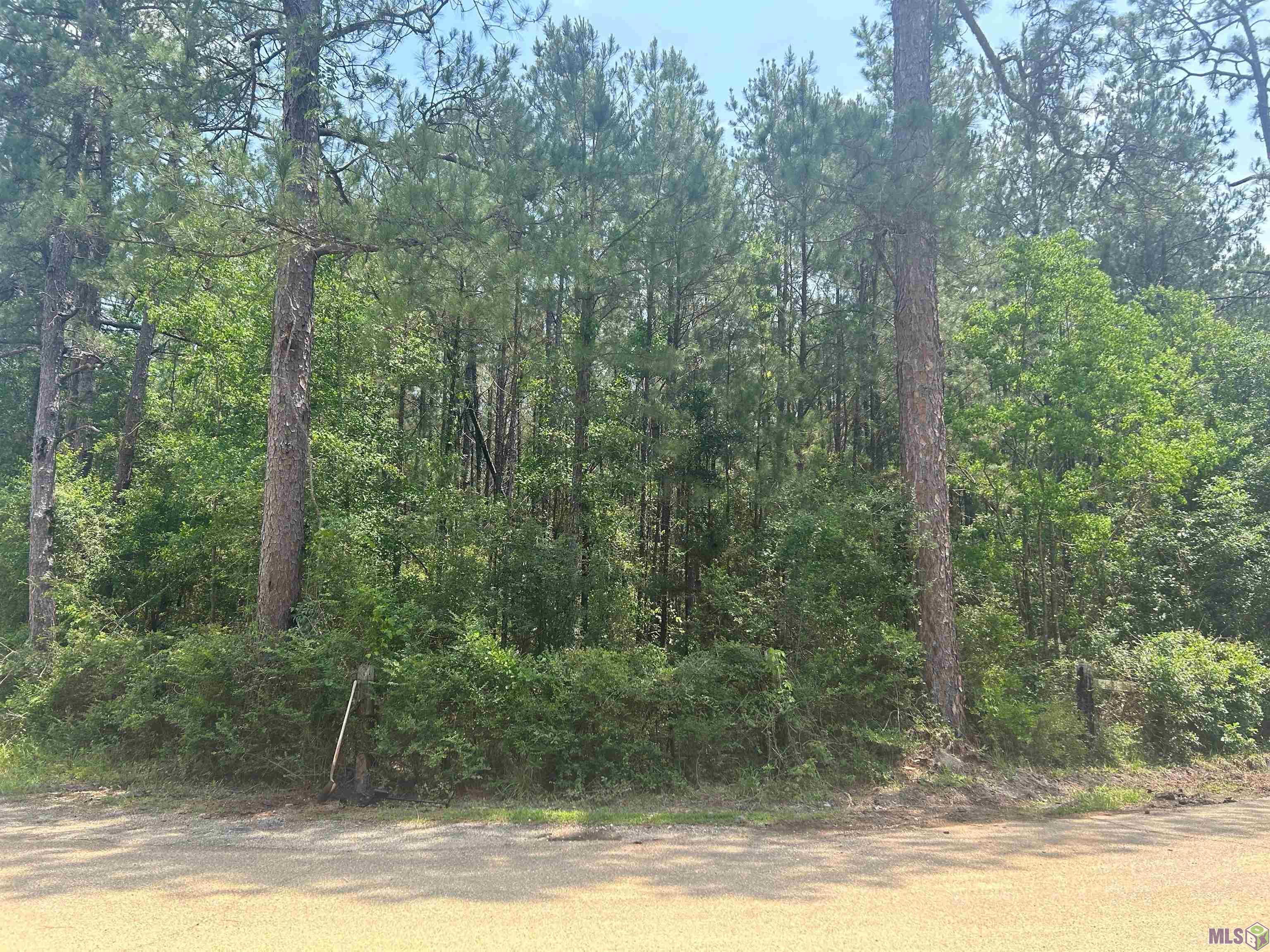 11410 Tantela Ranch Road Folsom, LA 70437 - Photo 2 of 4