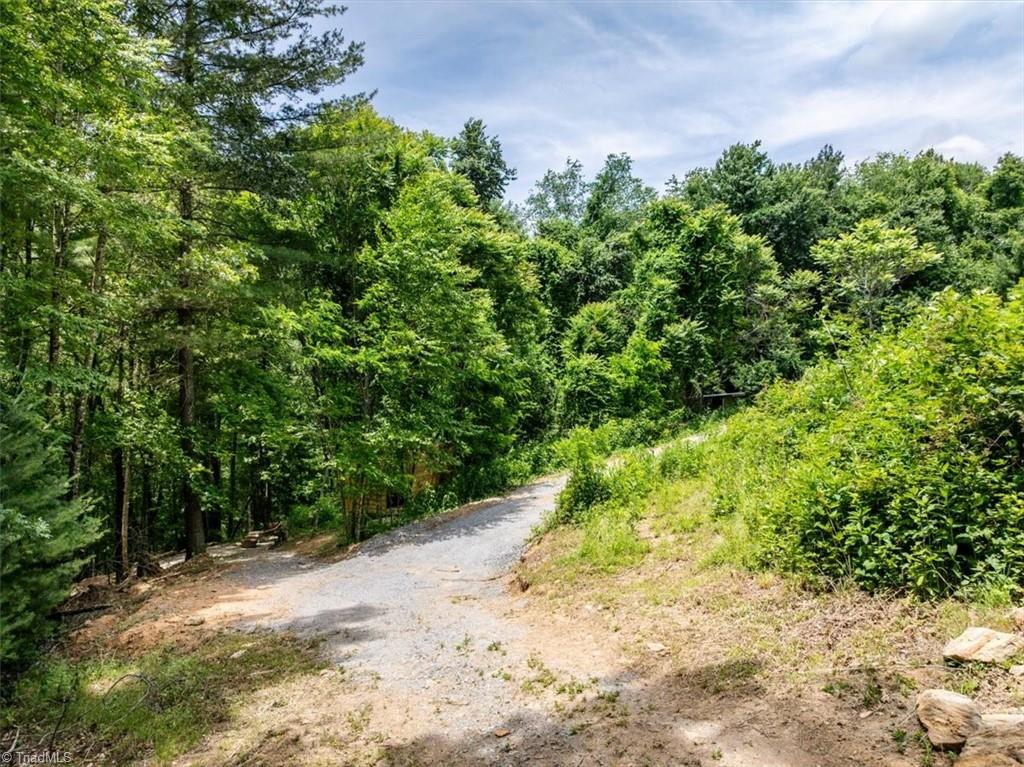 132 Sparks Ridge Lane Sparta, NC 28675 - Photo 21 of 30
