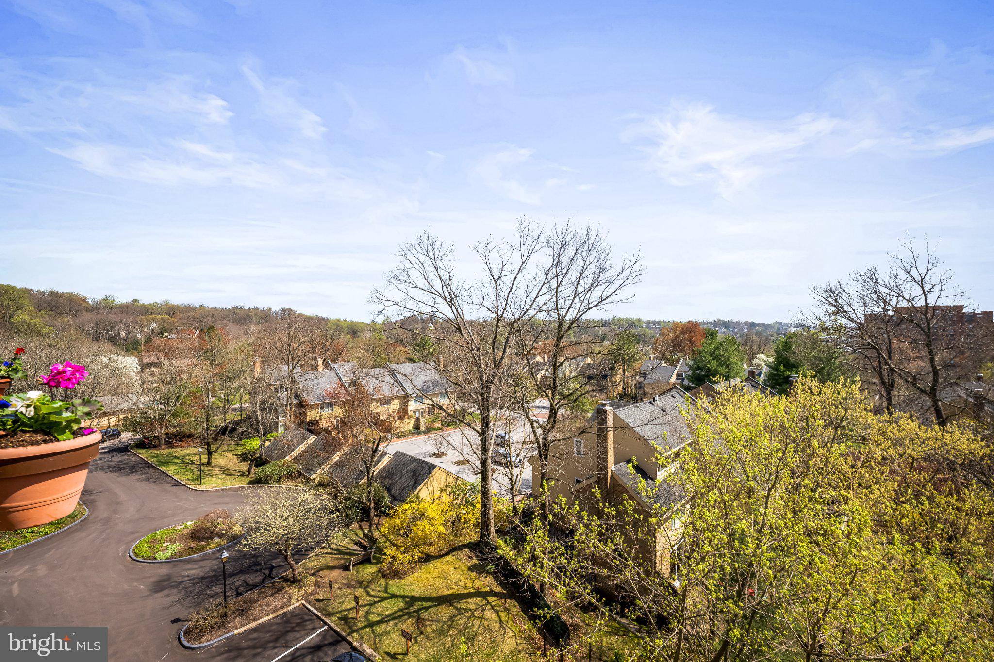 200 Cross Keys Road, Unit R 68 Baltimore, MD 21210 - Photo 4 of 30 Scenic balcony view of neighborhood tree tops