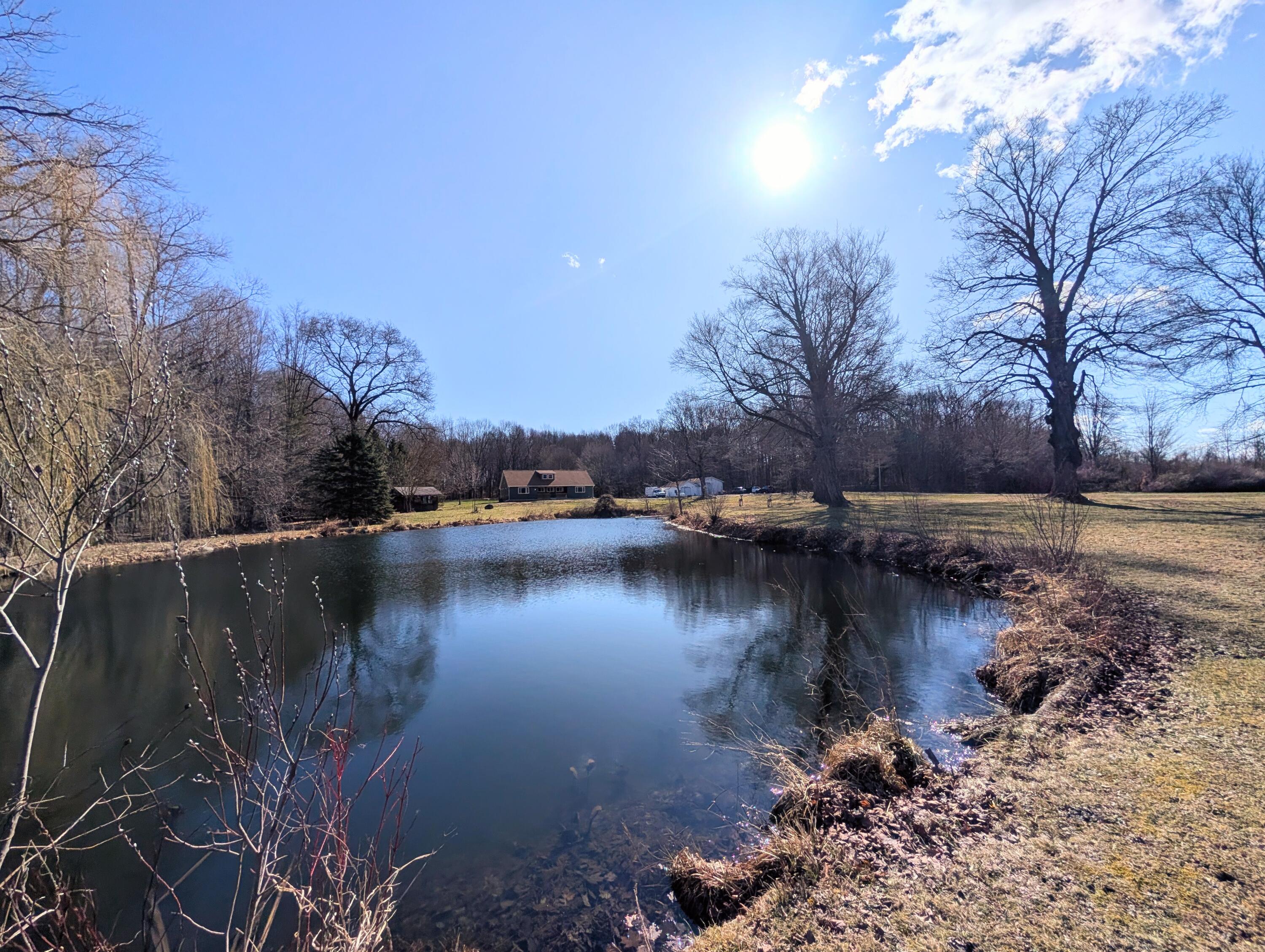 12500 11 Mile Road Ceresco, MI 49033 - Photo 14 of 70 1000040293