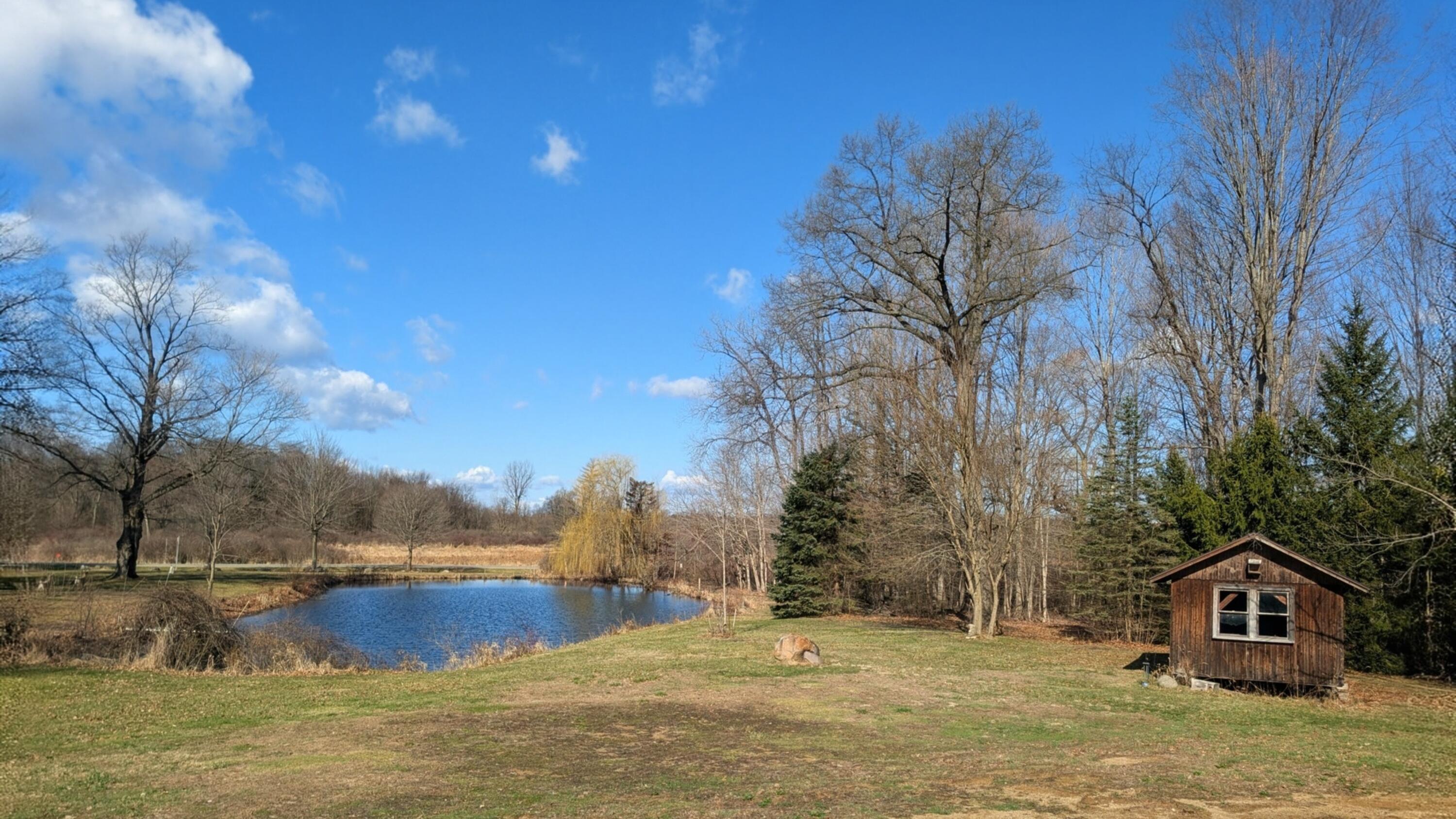 12500 11 Mile Road Ceresco, MI 49033 - Photo 17 of 70 1000040304