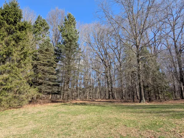 $675,000 | 12500 11 Mile Road, Ceresco, MI 49033