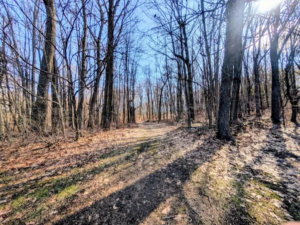 $675,000 | 12500 11 Mile Road, Ceresco, MI 49033