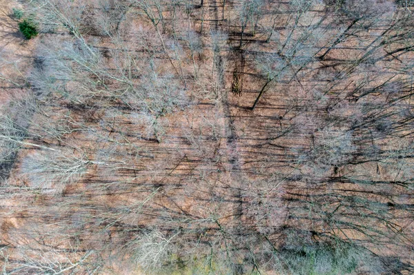 $675,000 | 12500 11 Mile Road, Ceresco, MI 49033