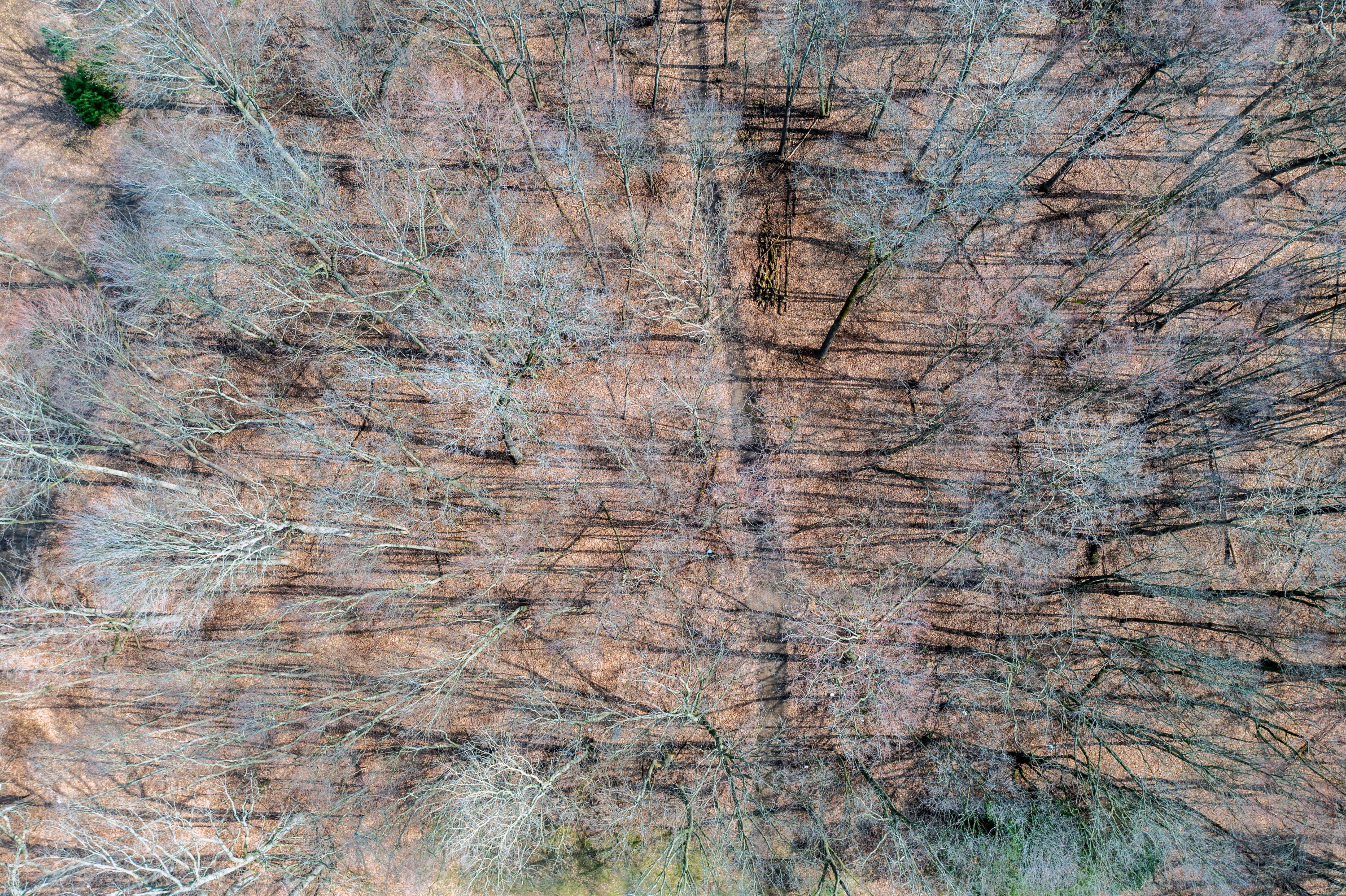 12500 11 Mile Road Ceresco, MI 49033 - Photo 68 of 70 12500_11_Mile_Add-2 (1)