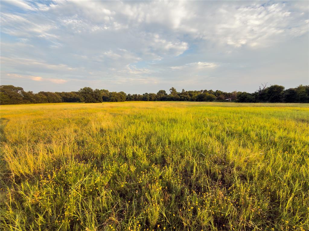 Lot 7 Wilson Road Waco, TX 76705 - Photo 7 of 9 Gallery Image 7
