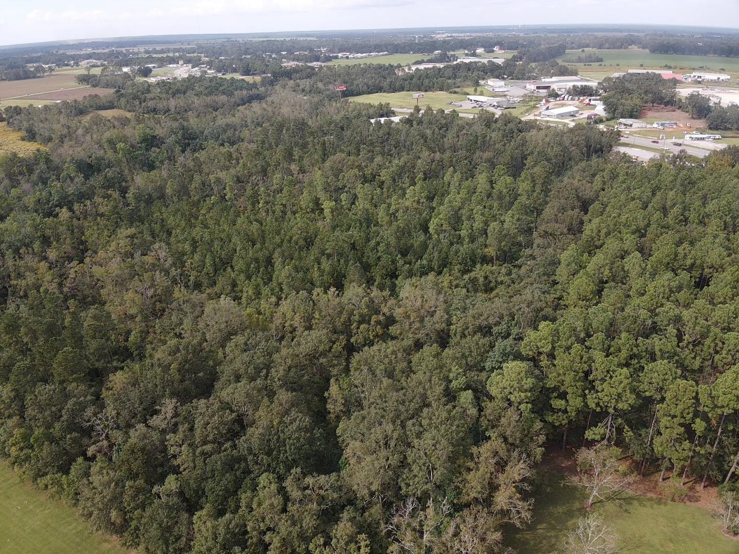 0 Dawson Road Loxley, AL 36551 - Photo 6 of 9
