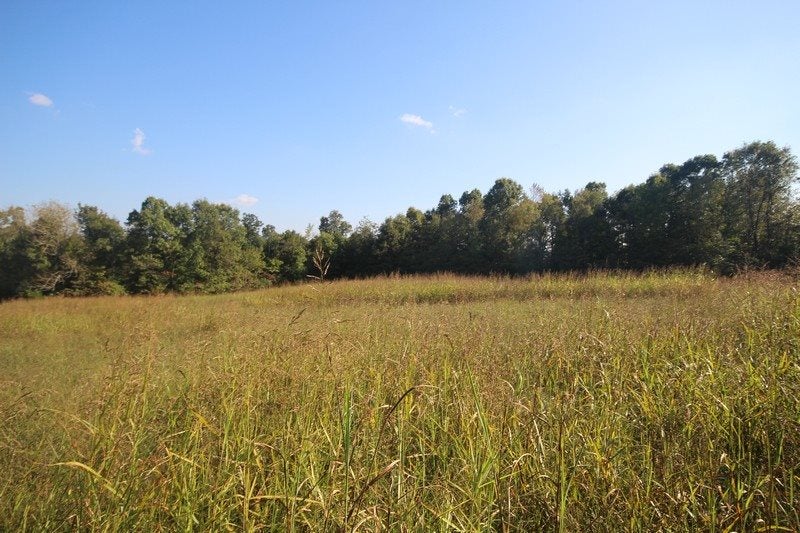 3351 A Bryant Ridge Road Caneyville, KY 42721 - Photo 17 of 19 Gallery Image 17
