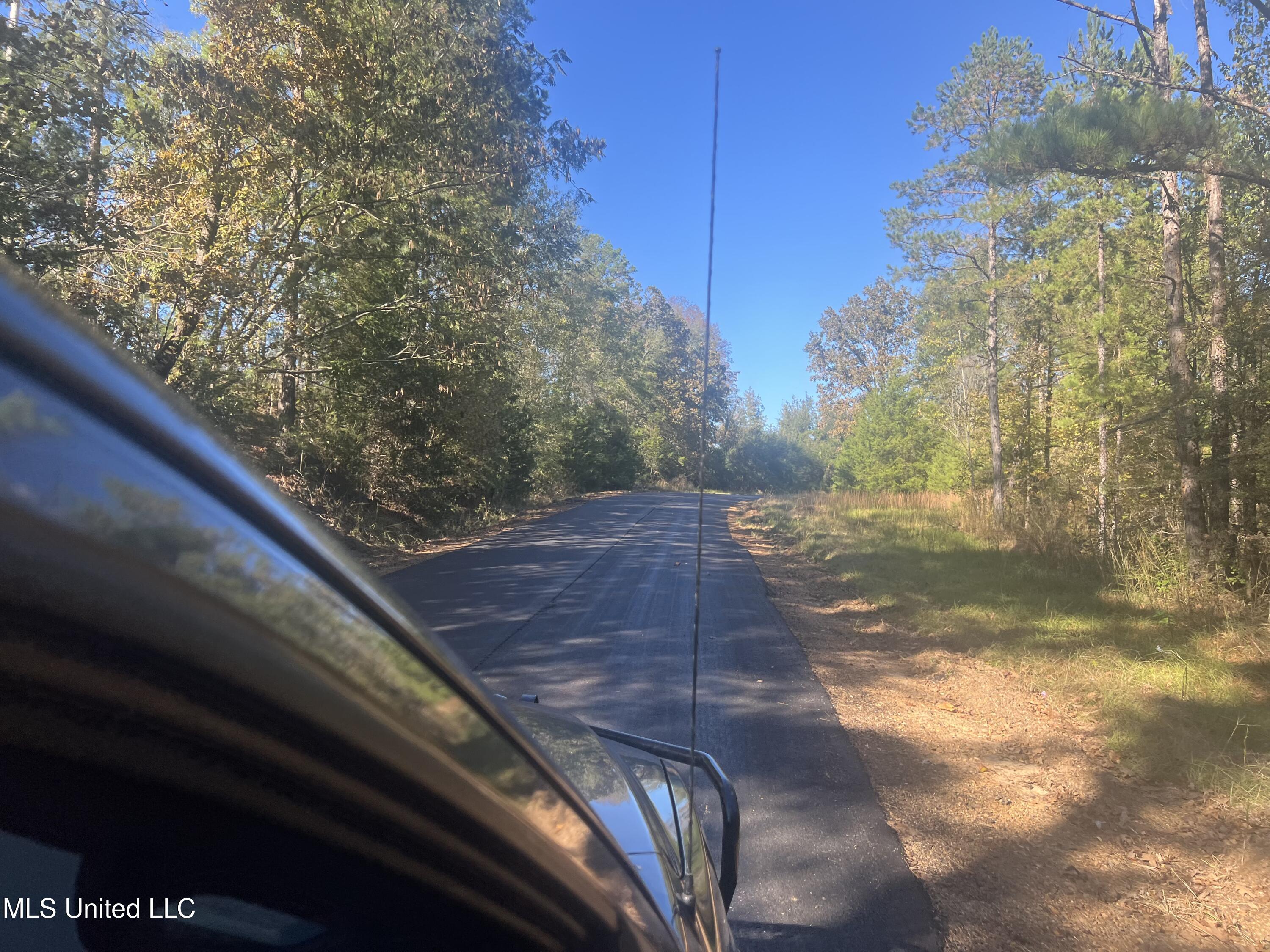 Long Branch Road West, MS 39192 - Photo 2 of 12 IMG_0623