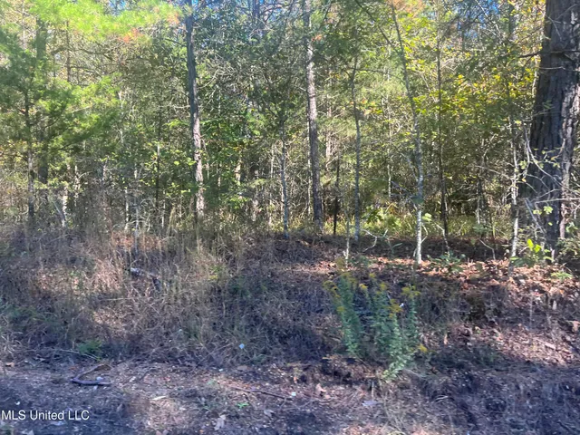 $160,000 | Long Branch Road, West, MS 39192