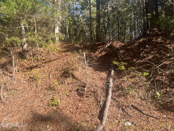 $160,000 | Long Branch Road, West, MS 39192