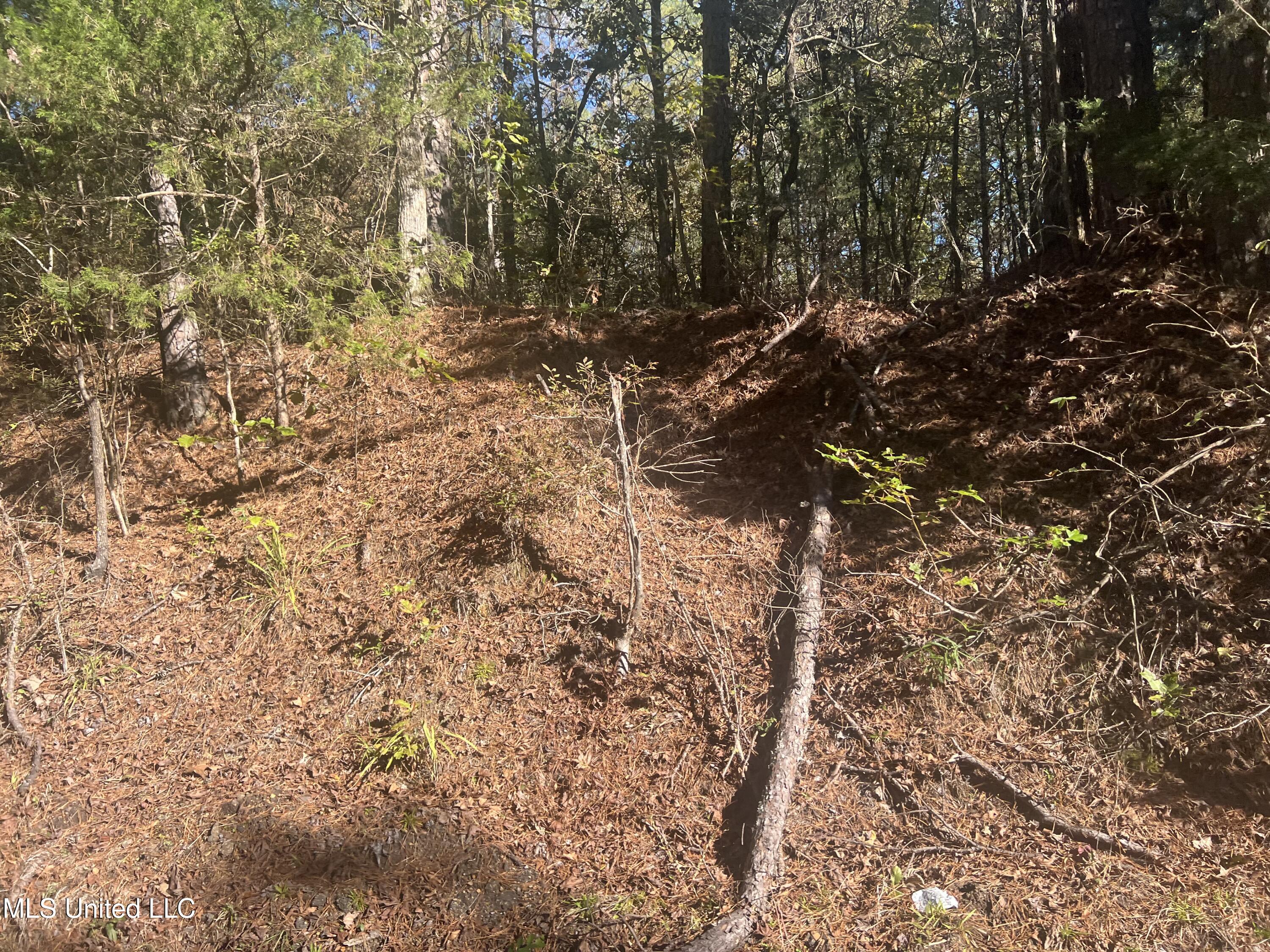 Long Branch Road West, MS 39192 - Photo 4 of 12 IMG_0621