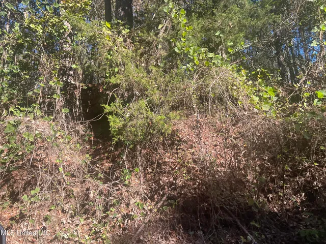 $160,000 | Long Branch Road, West, MS 39192