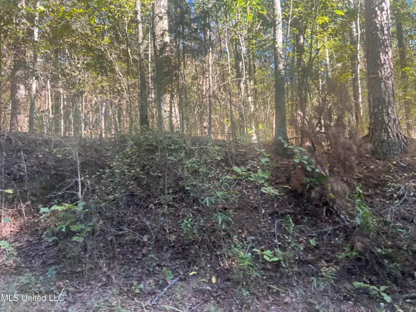 $160,000 | Long Branch Road, West, MS 39192