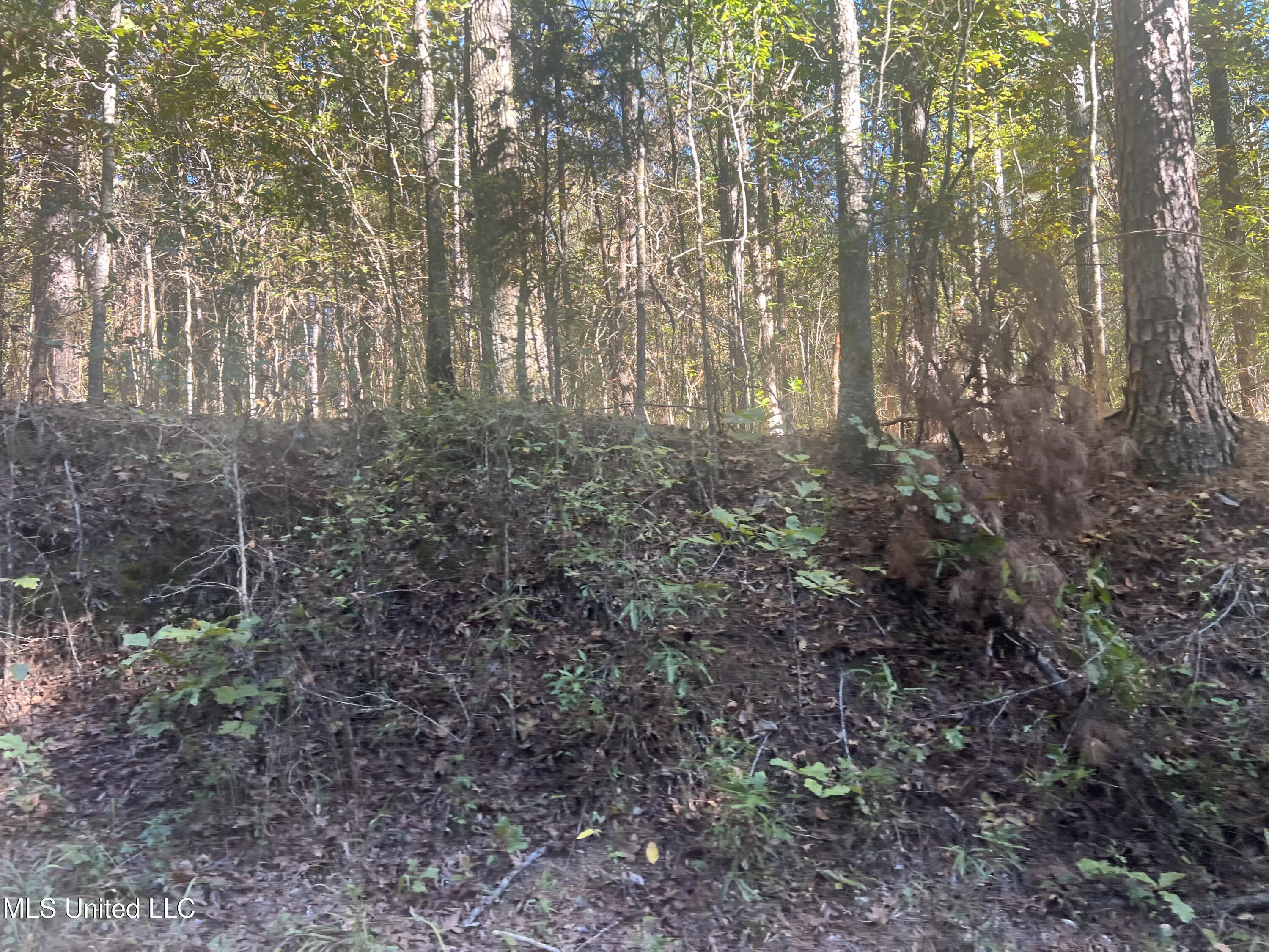 Long Branch Road West, MS 39192 - Photo 6 of 12 IMG_0614