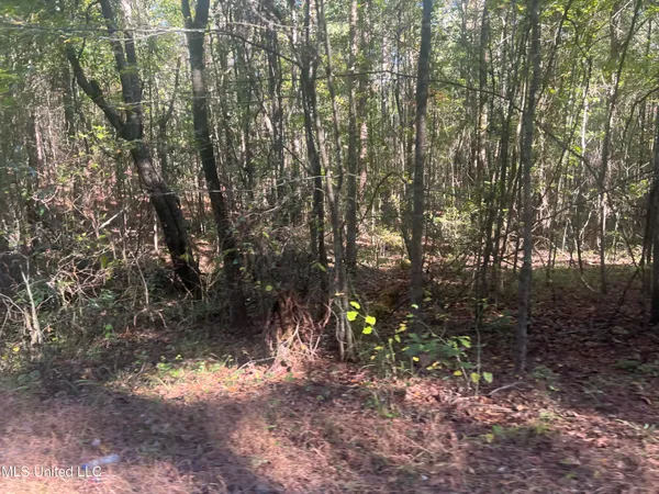 $160,000 | Long Branch Road, West, MS 39192