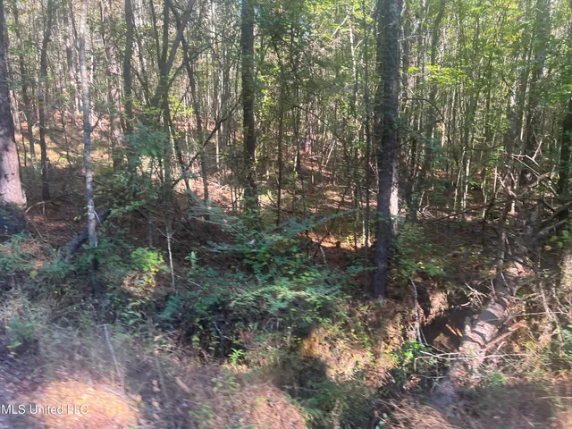 $160,000 | Long Branch Road, West, MS 39192