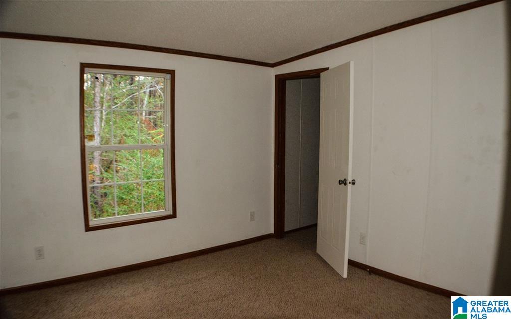72 County Road 206 Arley, AL 35541 - Photo 8 of 15