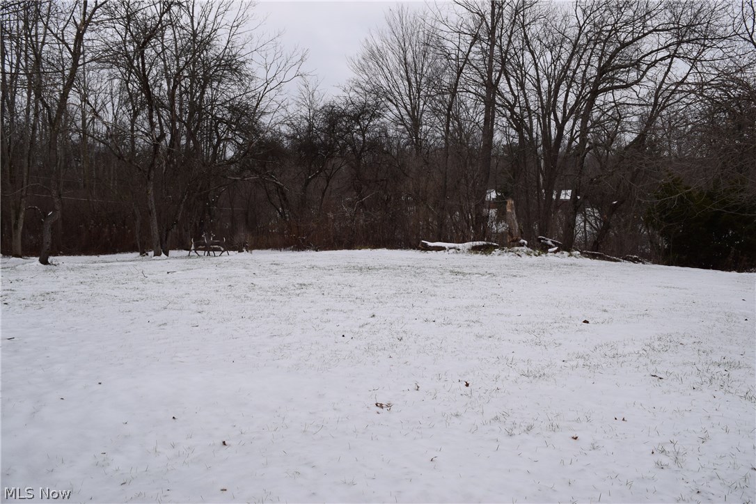 7306 Buffham Road Seville, OH 44273 - Photo 18 of 22 Gallery Image 18