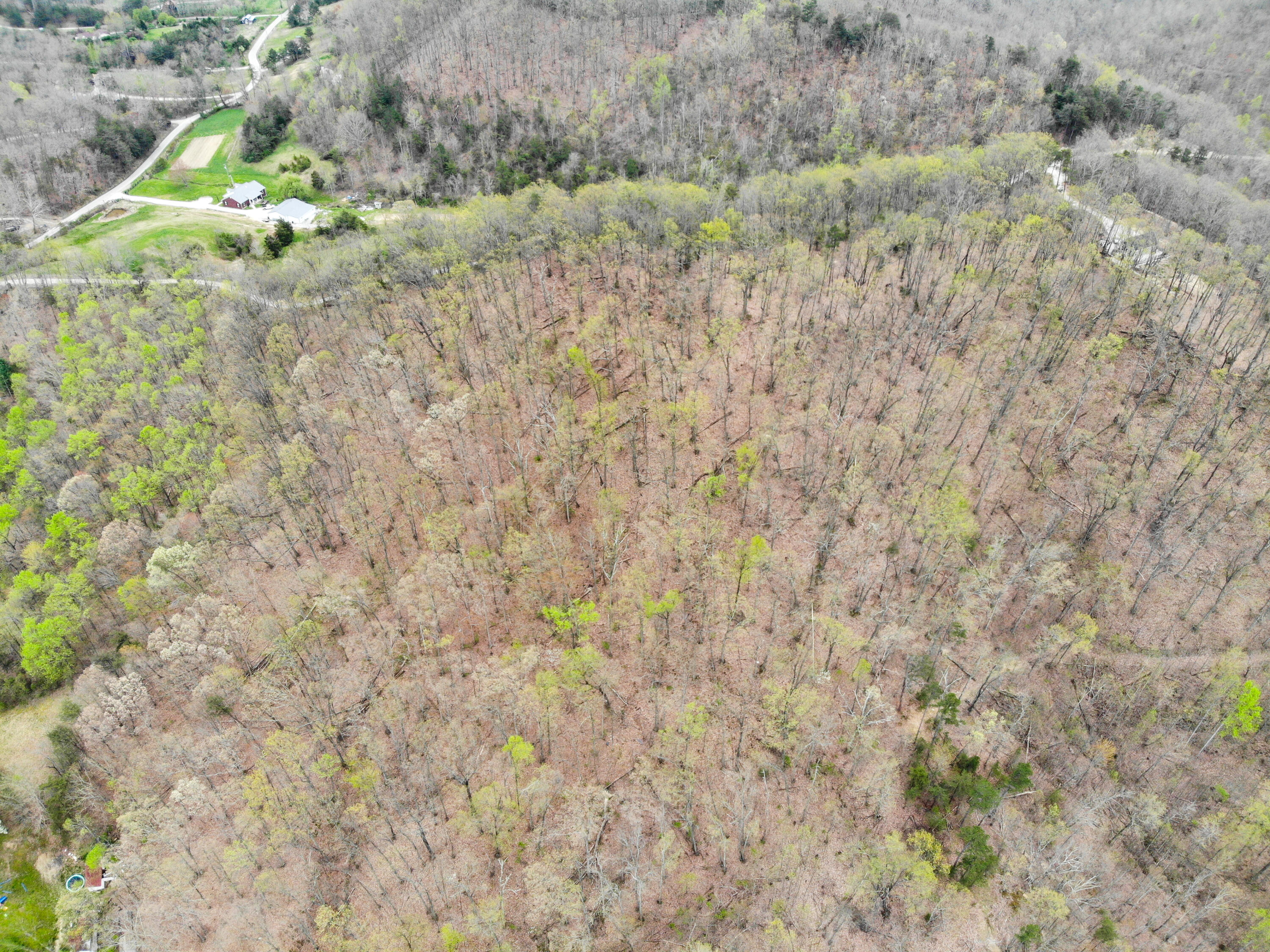 9999 Flat Gap Road Berea, KY 40403 - Photo 8 of 14 DJI_0543-2