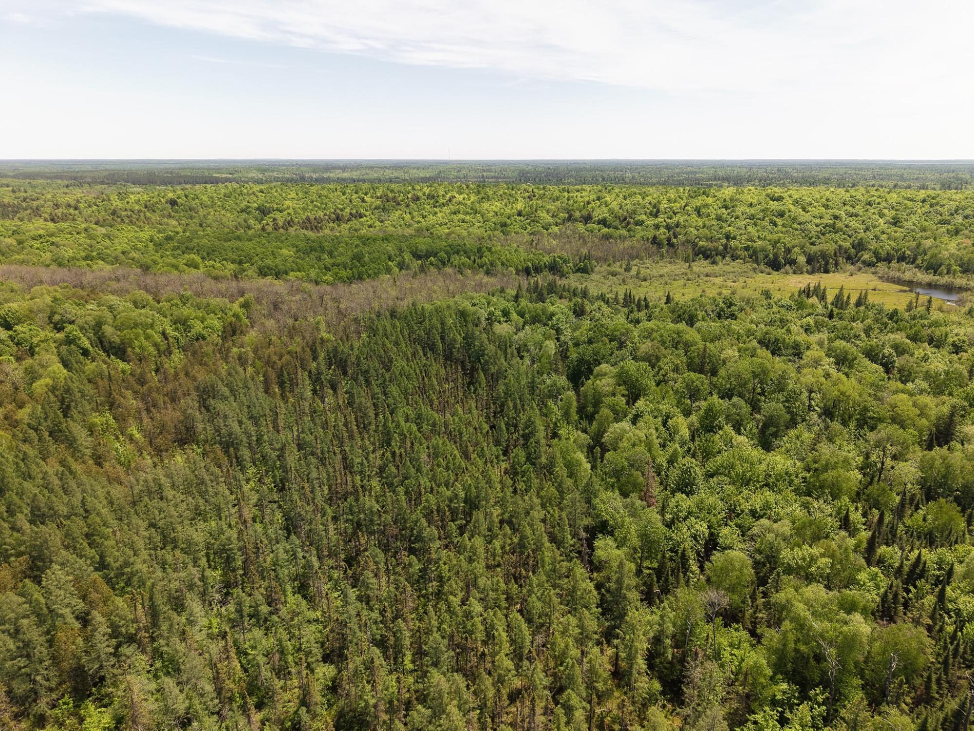 Off North Popko Circle West Mercer, WI 54547 - Photo 2 of 5 Gallery Image 2
