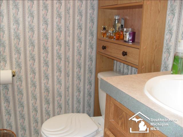 274 Fairfax Road Erie, MI 48133 - Photo 14 of 20 MASTER BATH, VIEW 2