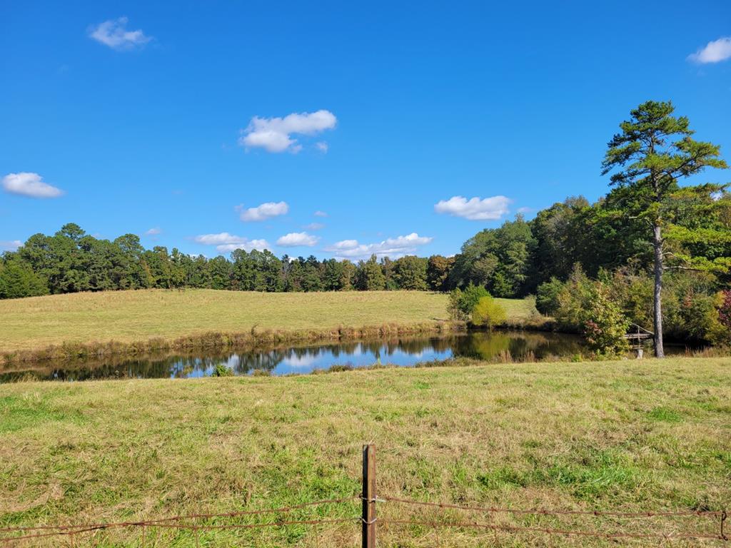 - Red Row Road McCormick, SC 29835 - Photo 1 of 7