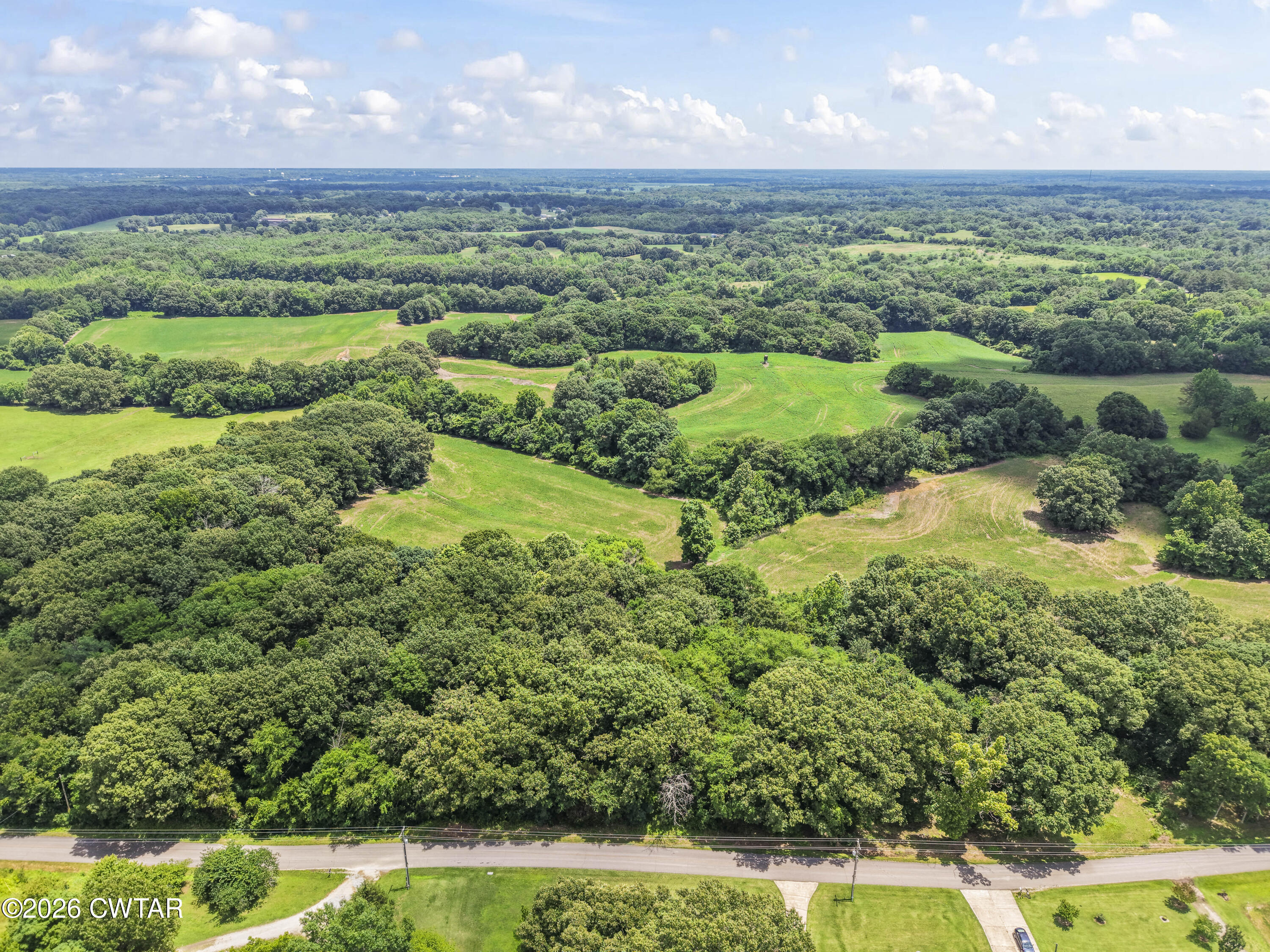 0 Aubrey Ferguson Road Gadsden, TN 38337 - Photo 5 of 15 a view of a lush green forest with lots of trees