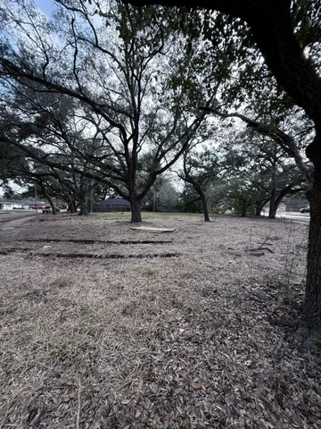 a view of dirt yard with a tree