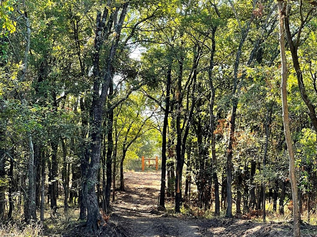 720 Vest Lane Pilot Point, TX 76258 - Photo 4 of 6 Equestrian trail that leads to Lake Ray