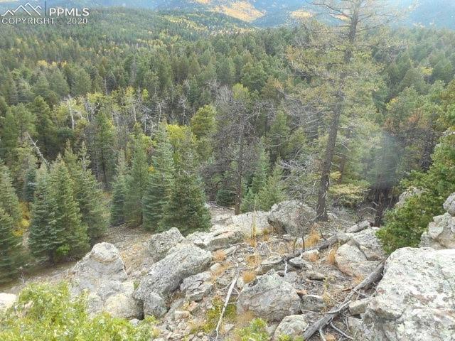 8990 Old San Isabel Road Rye, CO 81069 - Photo 24 of 28