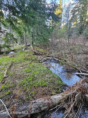 $45,000 | Nka Alder Way, St. Maries, ID 83861