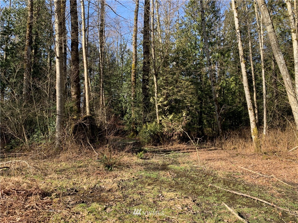 3024 Behme Road Custer, WA 98240 - Photo 11 of 19 a view of a outdoor space