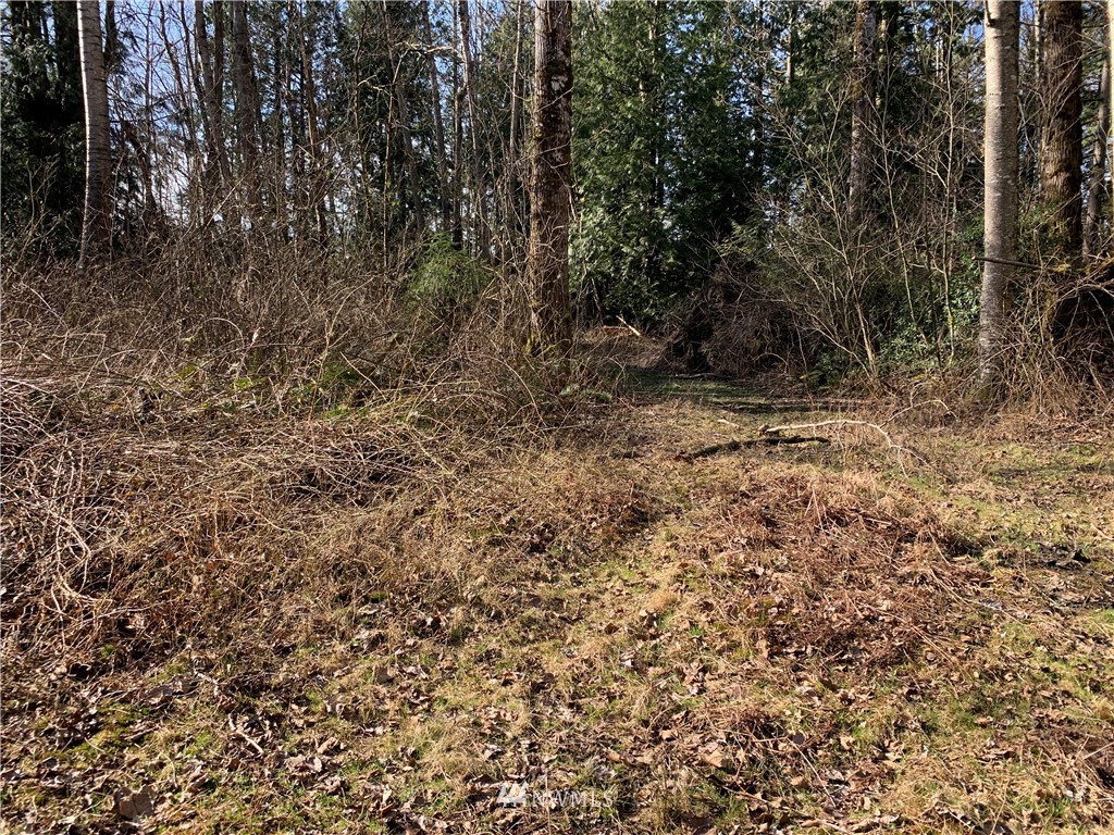 3024 Behme Road Custer, WA 98240 - Photo 12 of 19 a view of a yard with a tree
