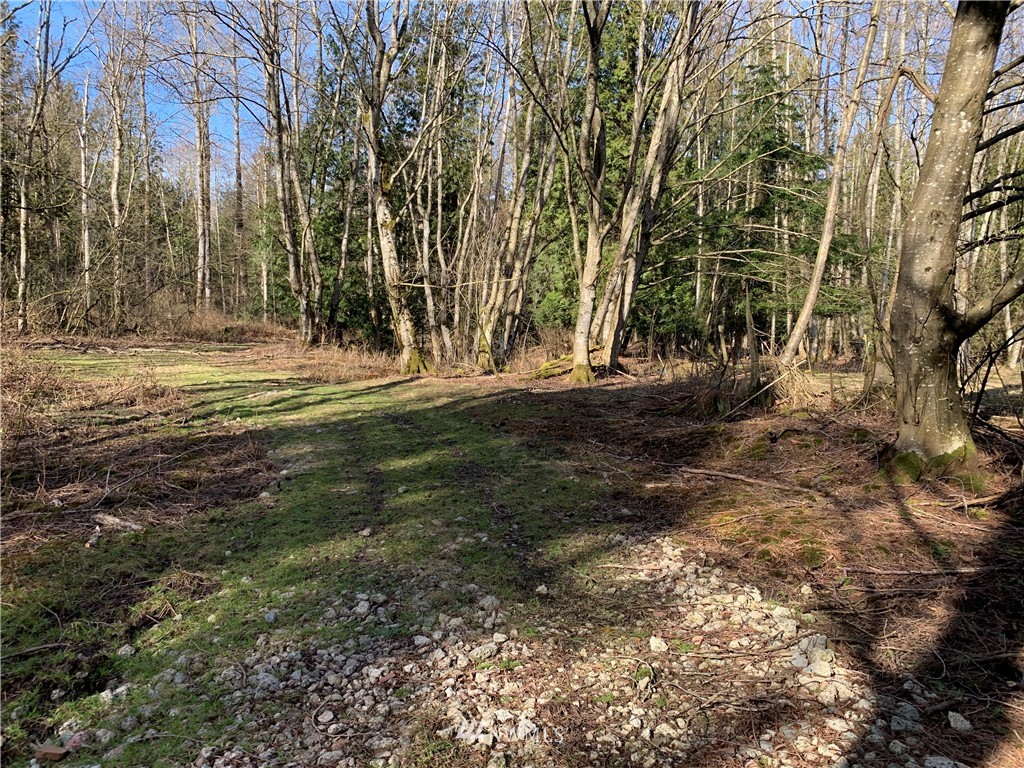 3024 Behme Road Custer, WA 98240 - Photo 17 of 19 a view of a yard with a tree