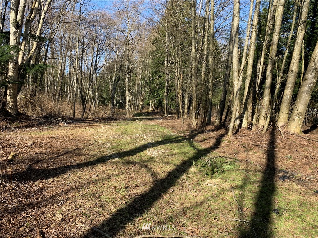 3024 Behme Road Custer, WA 98240 - Photo 18 of 19 a view of a yard with trees