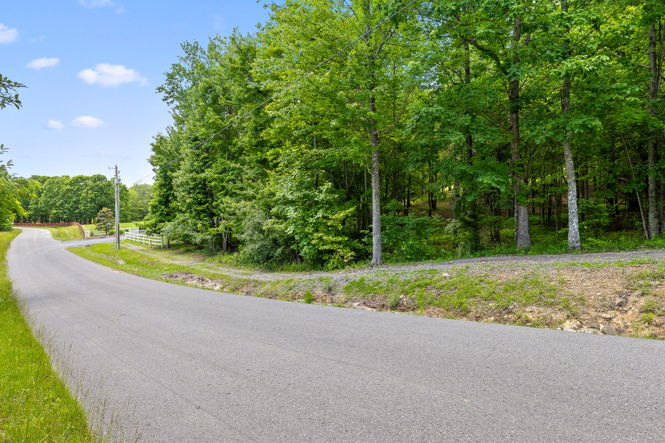 Lot 237 Roaring Creek Road Dunlap, TN 37327 - Photo 13 of 25 Lot 237 Roaring Creek Road