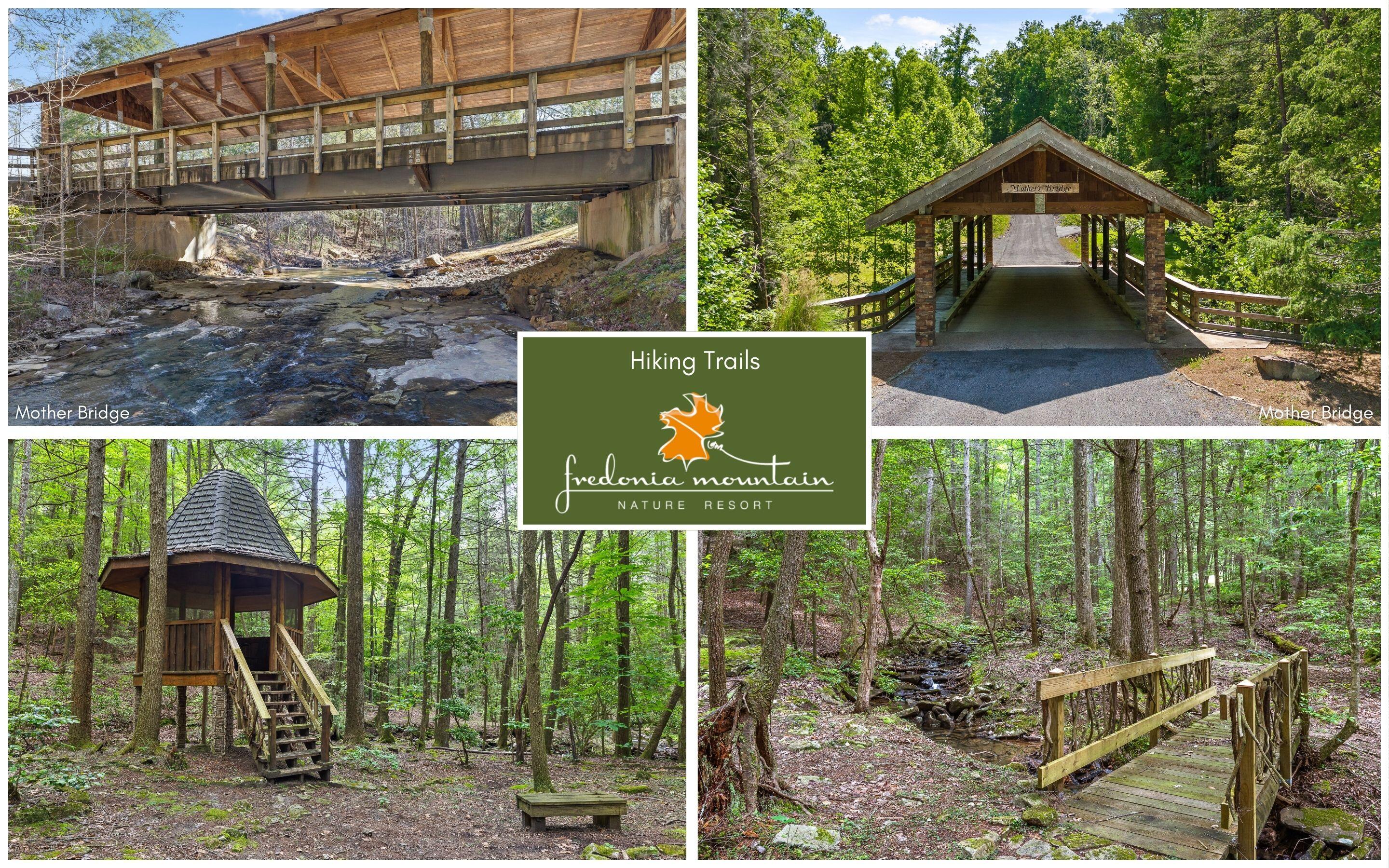 Lot 237 Roaring Creek Road Dunlap, TN 37327 - Photo 17 of 25 Community Amenities